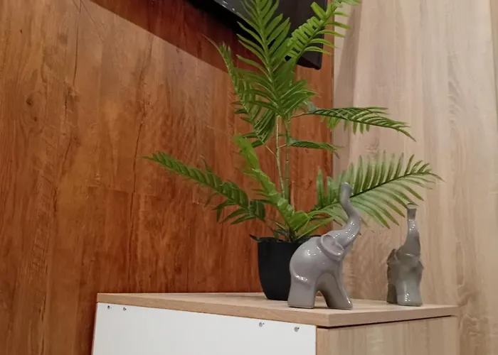 Relaxed Dream Апартаменты *